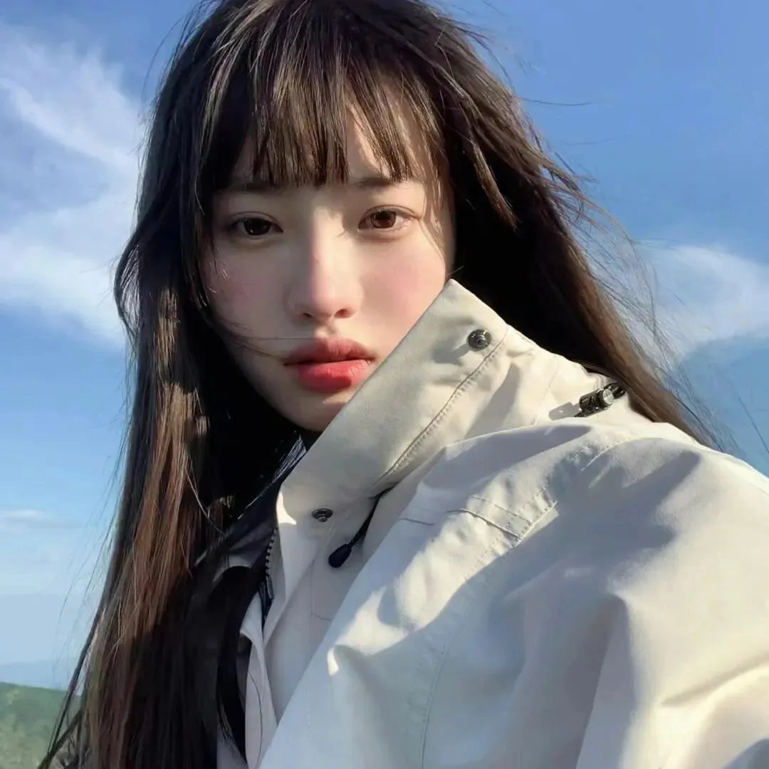 探秘企鹅王国
